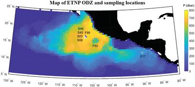 Autonomous observations of biogenic N2 in the Eastern Tropical North Pacific using profiling floats equipped with gas tension devices
